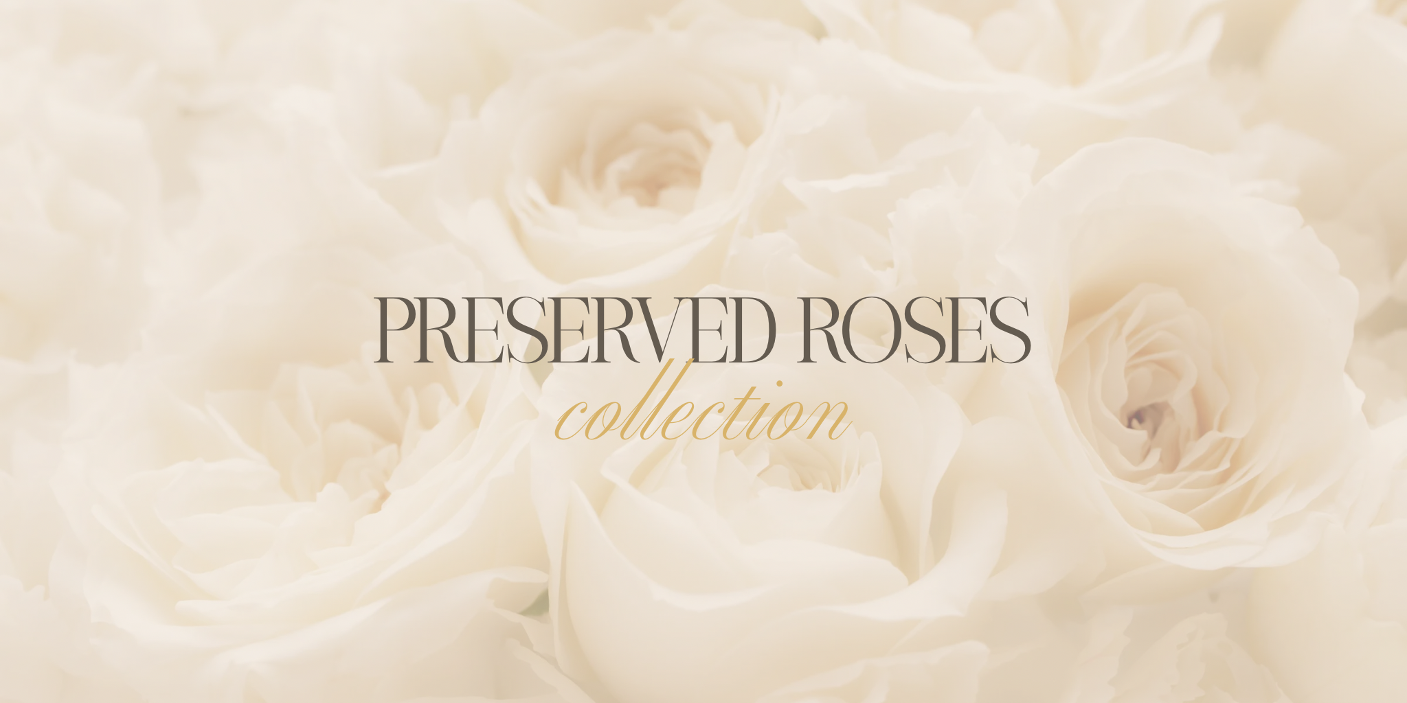 Rose Boxes