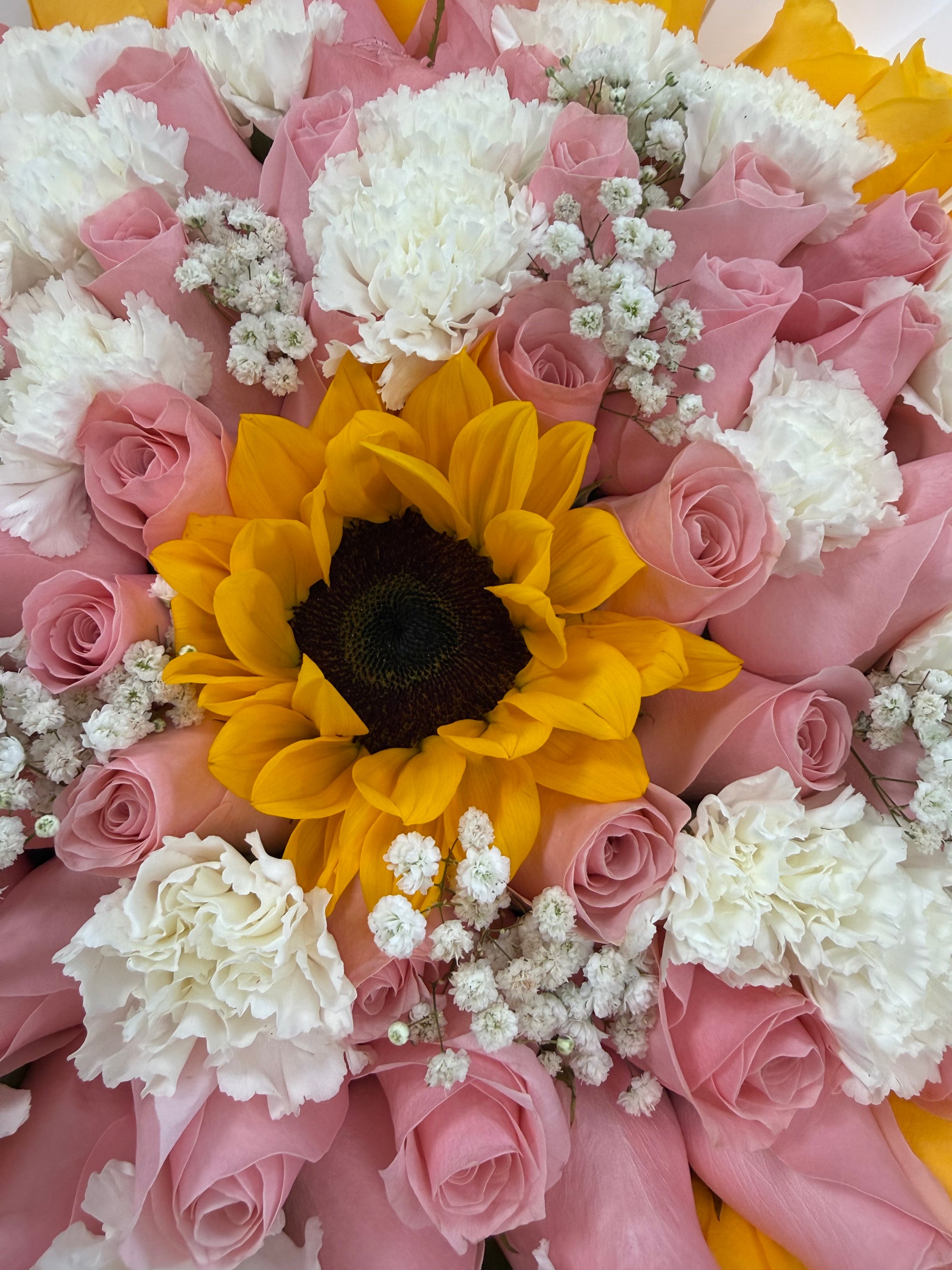 Sunflowers