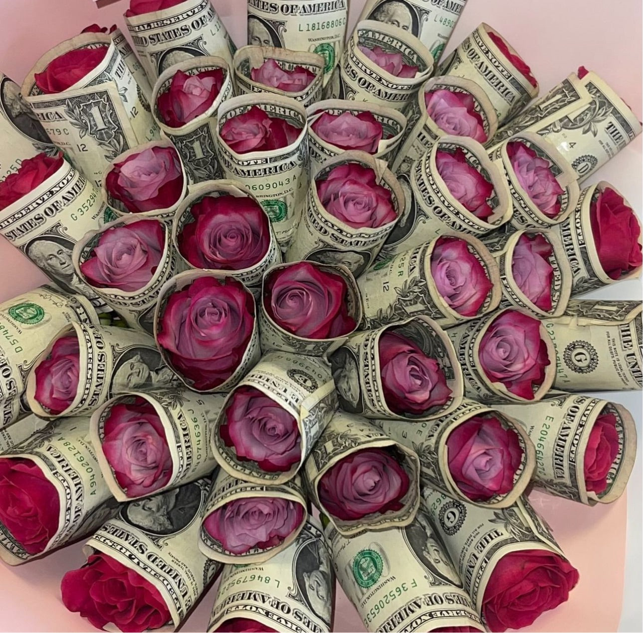 Money Roses