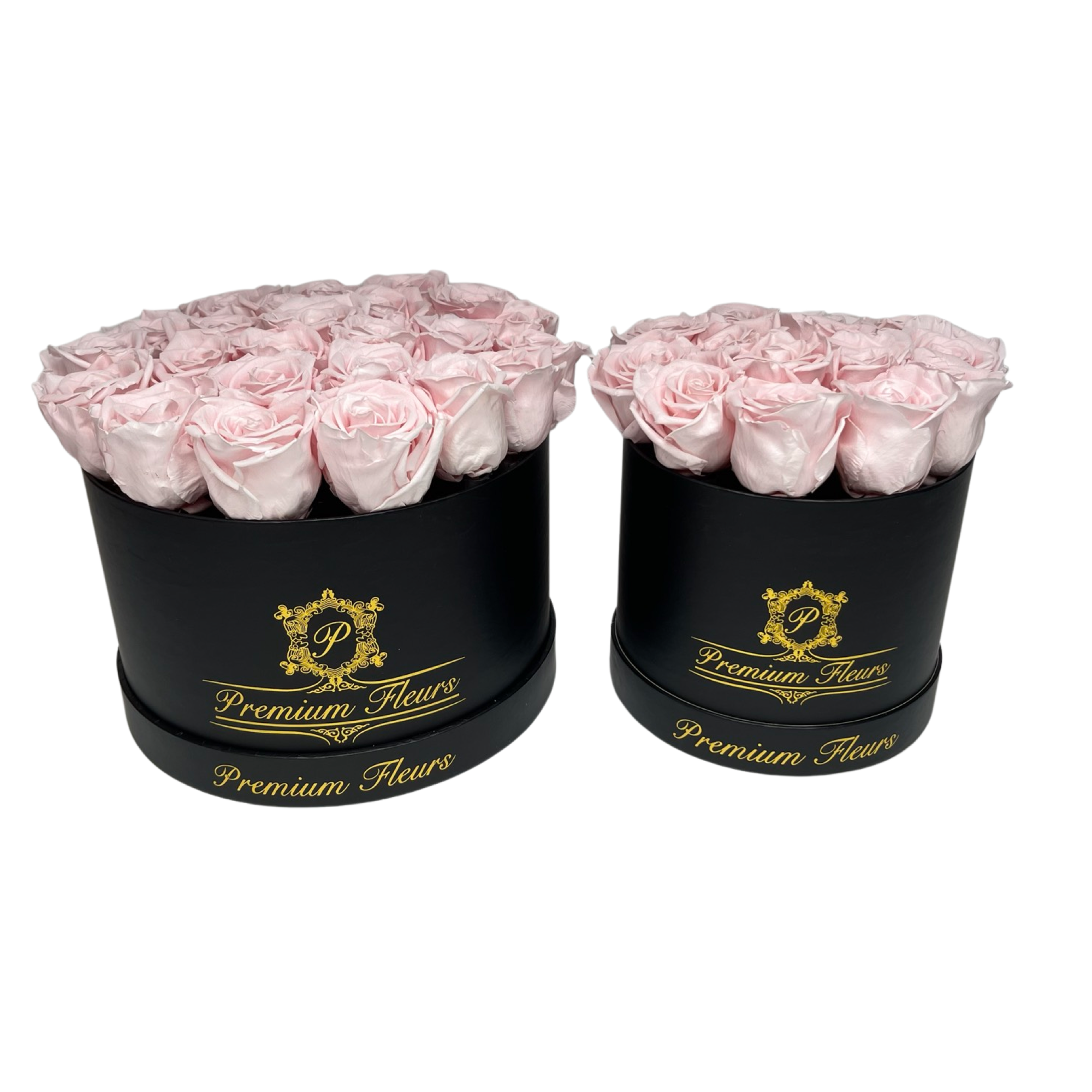 Large Rose Boxes